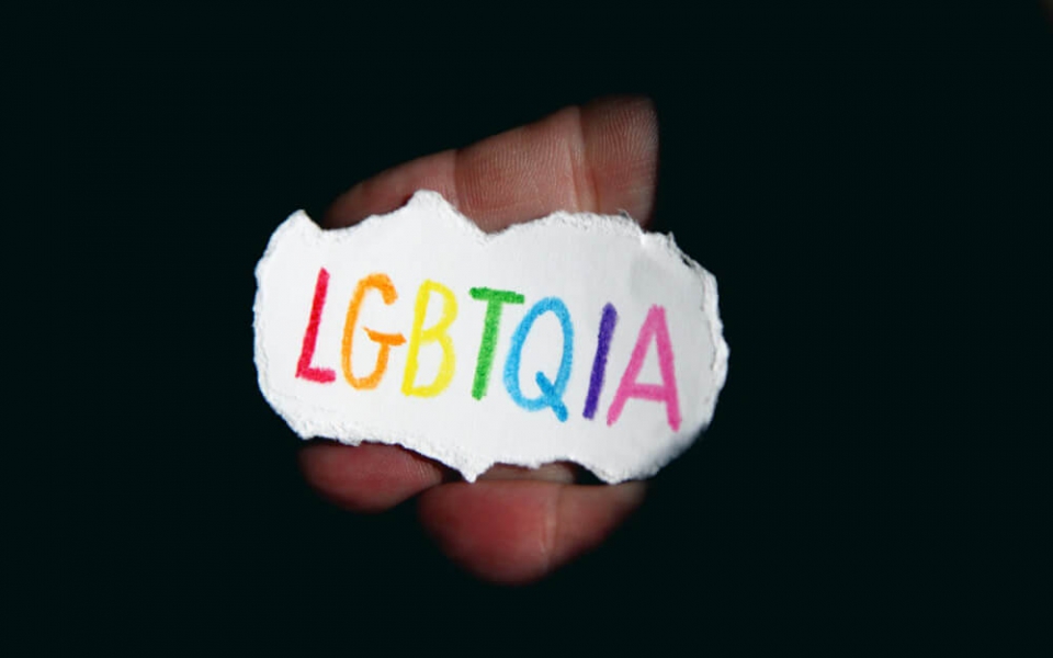 Sed quis ante condimentum, pulvinar lorem eget, condimentum libero